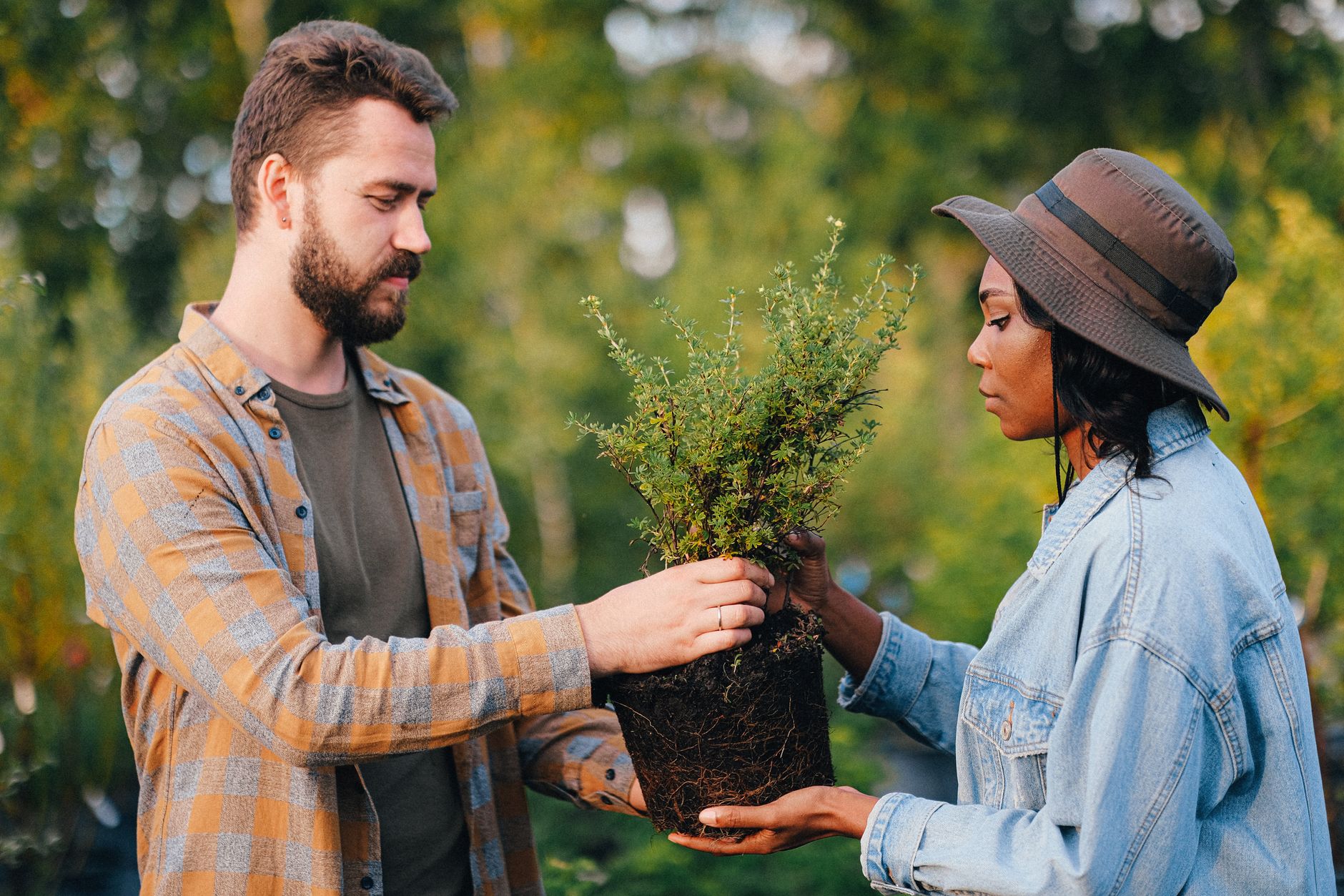 Growing a Greener Mining District: Trees Coming to Bayard and Hurley